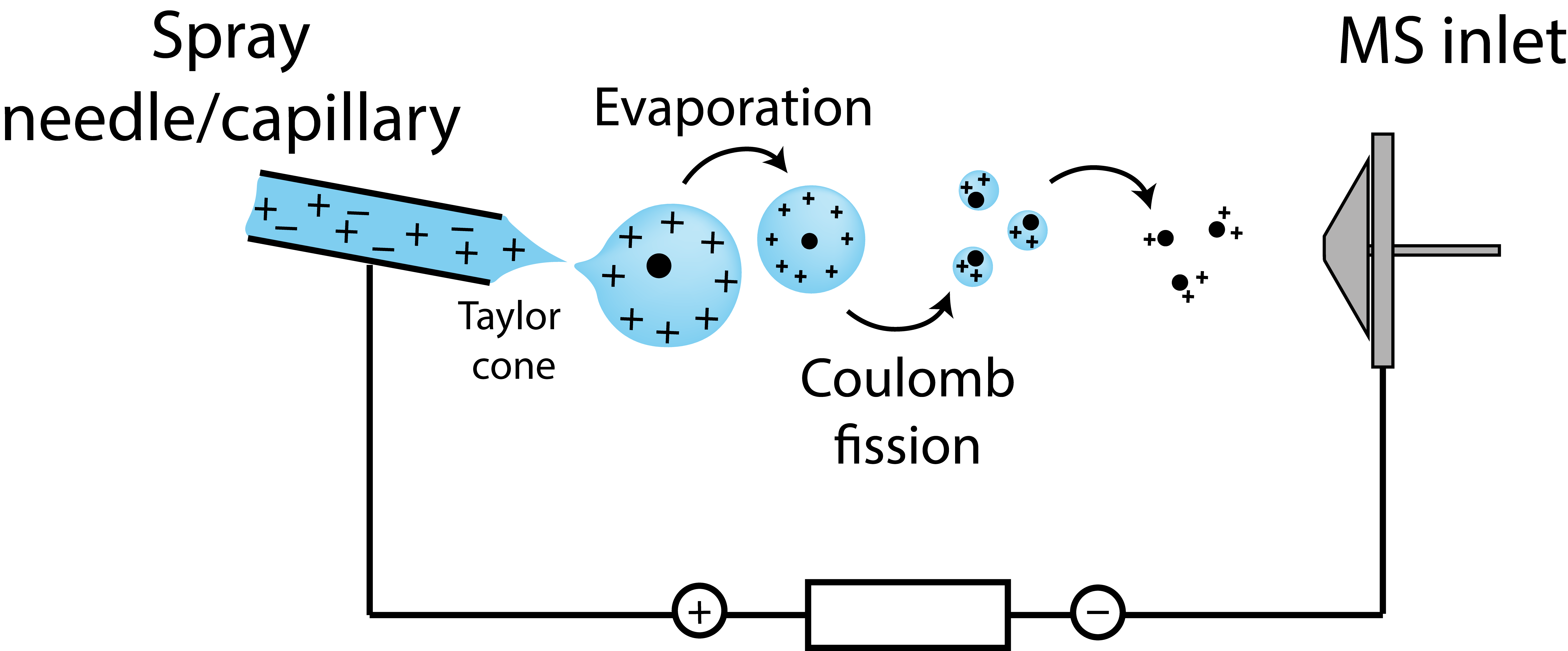 Figure 7: Electrospray Ionization Charged droplets are formed, their size is reduced due to evaporation until charge repulsion leads to Coulomb fission and results in charged analyte molecules.
