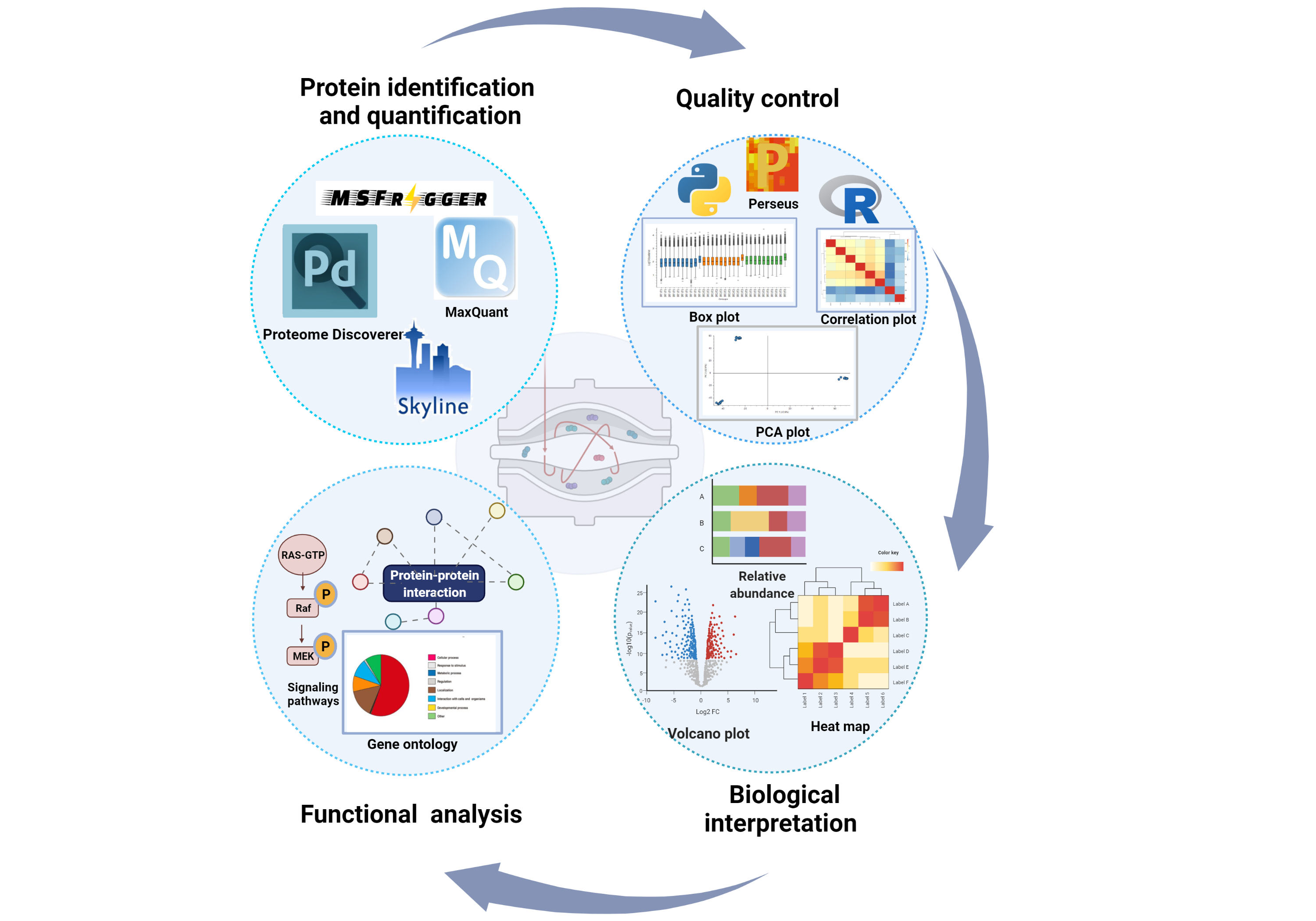 Figure 16: Proteomics Data Analysis and Biological Interpretation. The process begins with protein identification and quantification using tools such as Proteome Discoverer, Spectronaut, Spectromine, MS Fragger, MaxQuant, and Skyline. Quality control measures ensure data integrity, leading to a biological interpretation of the results. Differential expression analyses may include relative abundance charts, heat maps, and volcano plots. Functional analysis encompasses gene ontology, protein-protein interactions, and signaling pathways.
