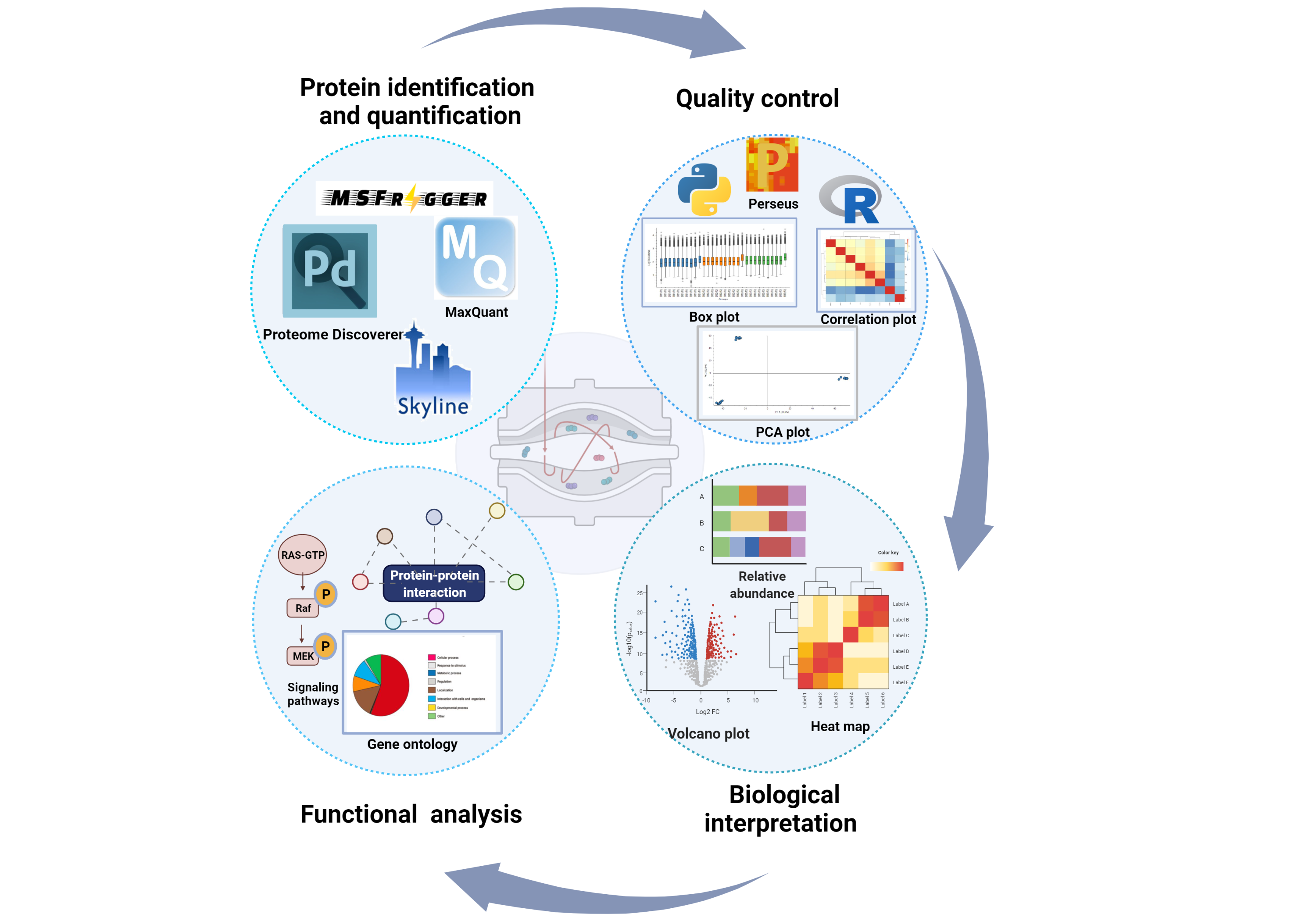 Comprehensive Overview of Bottom-Up Proteomics using Mass Spectrometry