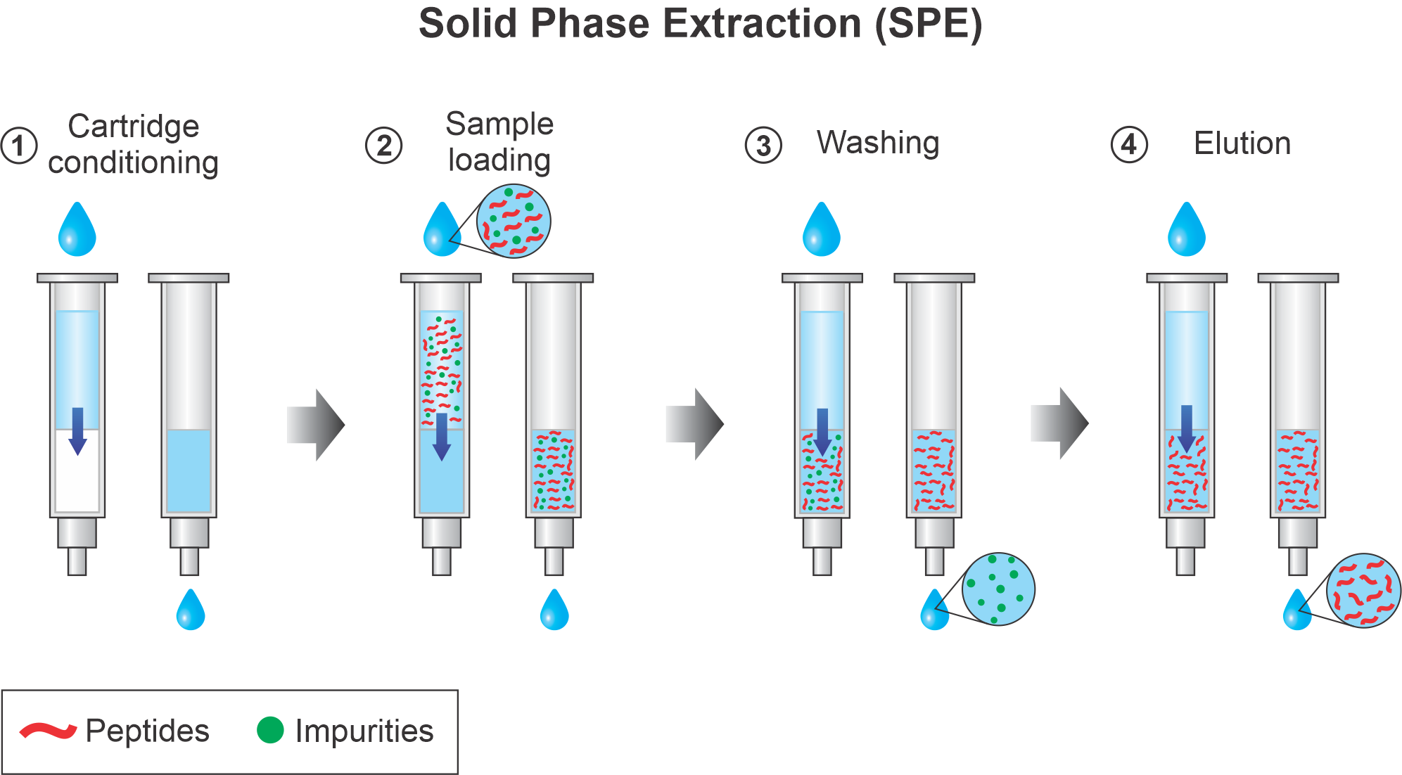 https://jessegmeyerlab.github.io/proteomics-tutorial/images/SPE_v03.png