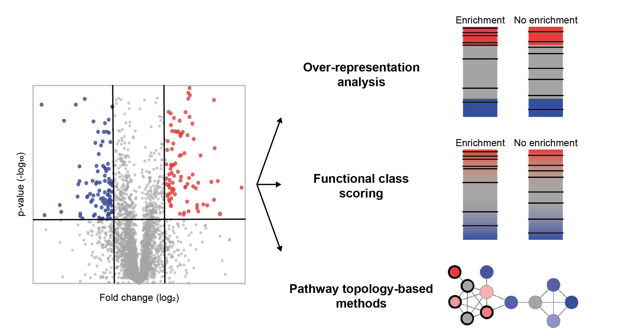 Figure 19: Types of functional enrichment methods. In the volcano plot (left), proteins with altered values are colored blue or red according to arbitrarily chosen cut-off values for significance and fold change. Black bars or thick-bordered nodes indicate members of a GO category.