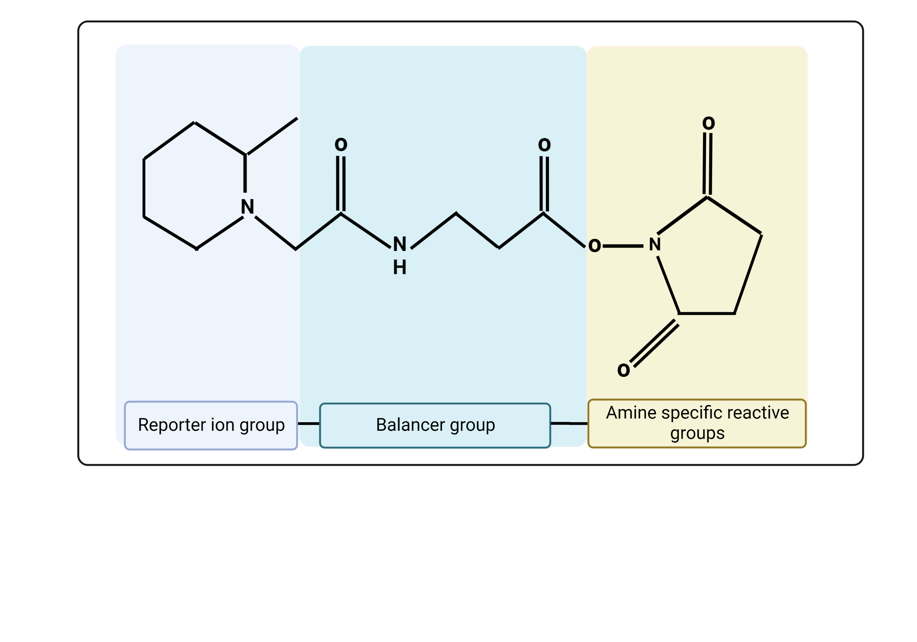 Figure 4: Example chemical structure of isobaric tags “Tandem Mass Tags (TMT)”.