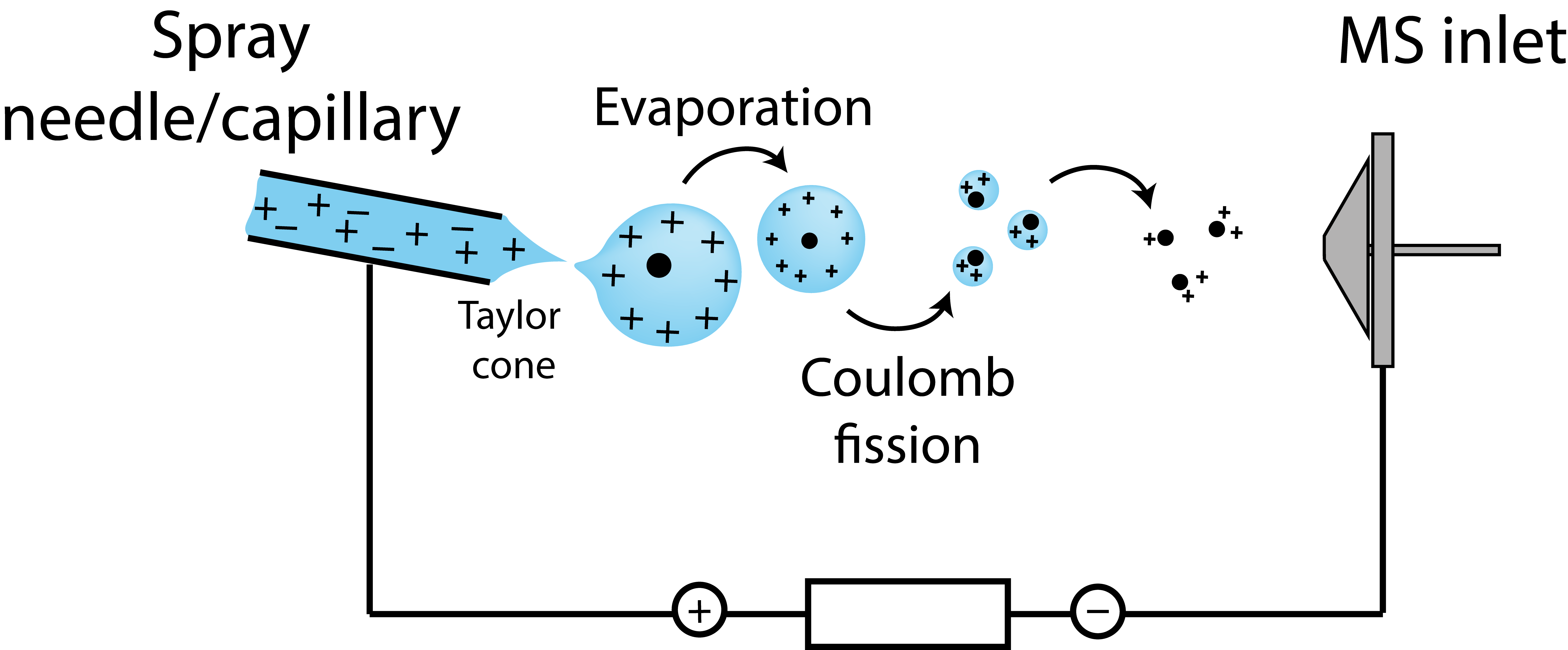 Figure 6: Electrospray Ionization Charged droplets are formed, their size is reduced due to evaporation until charge repulsion leads to Coulomb fission and results in charged analyte molecules.