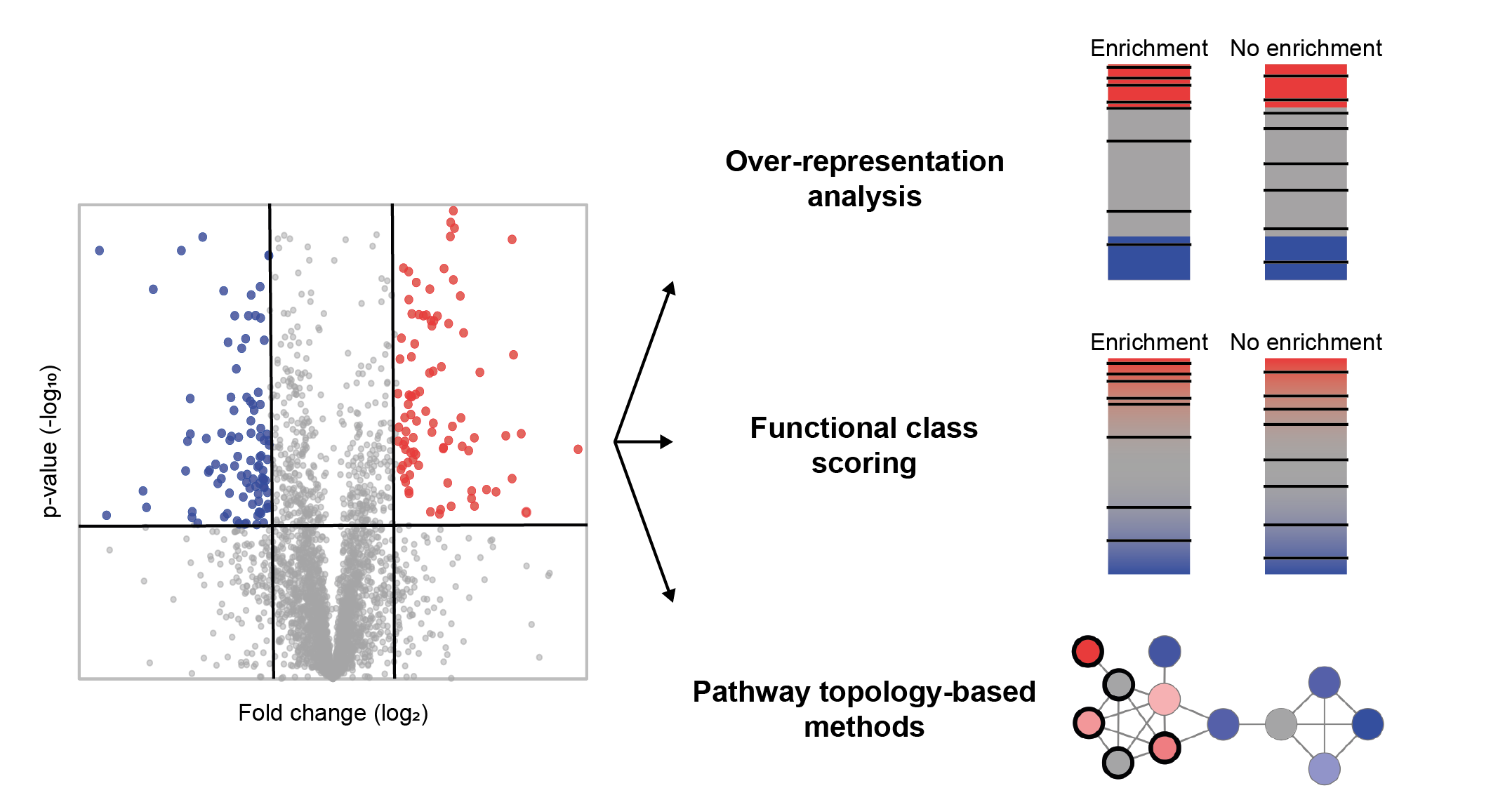 Figure 16: Types of functional enrichment methods. In the volcano plot (left), proteins with altered values are colored blue or red according to arbitrarily chosen cut-off values for significance and fold change. Black bars or thick-bordered nodes indicate members of a GO category.